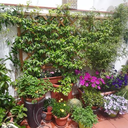 At Kalsa Quiet Flowered Terrace! Free Parking! Ideal For Remote Working! باليرمو المظهر الخارجي الصورة