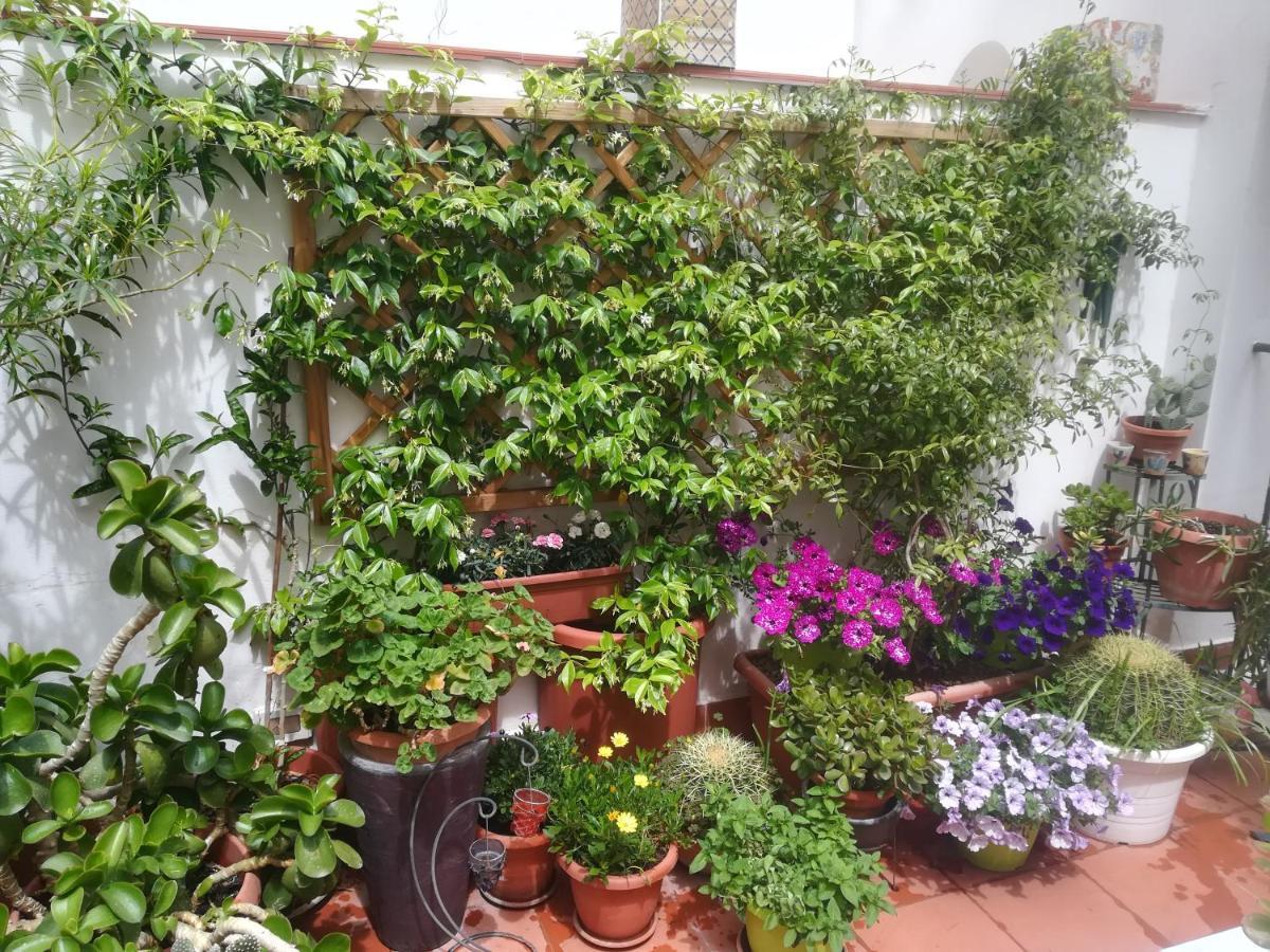 At Kalsa Quiet Flowered Terrace! Free Parking! Ideal For Remote Working! باليرمو المظهر الخارجي الصورة