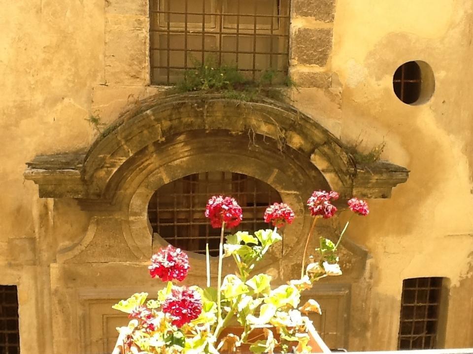 At Kalsa Quiet Flowered Terrace! Free Parking! Ideal For Remote Working! باليرمو الغرفة الصورة